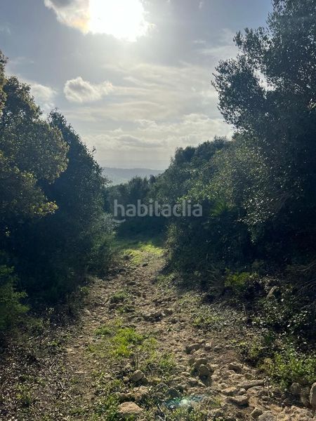 Foto 38856fa8-0aa9-473c-abcd-5142e895f7a3. Masia a Vejer Vejer de la Frontera