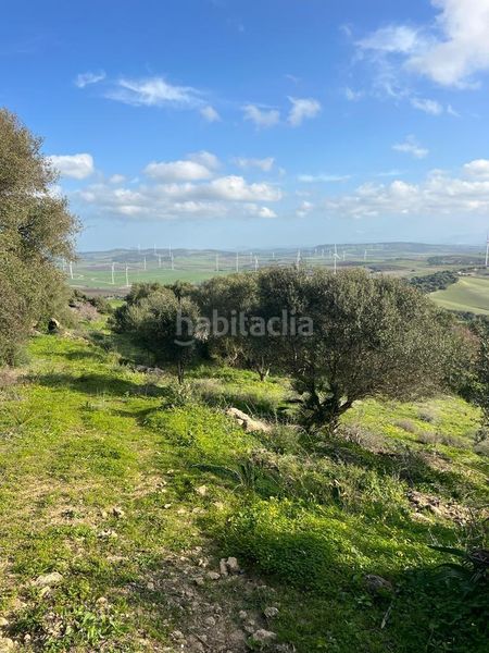 Foto 5c92e806-d690-45fe-8790-b3ceaf65c040. Masia a Vejer Vejer de la Frontera