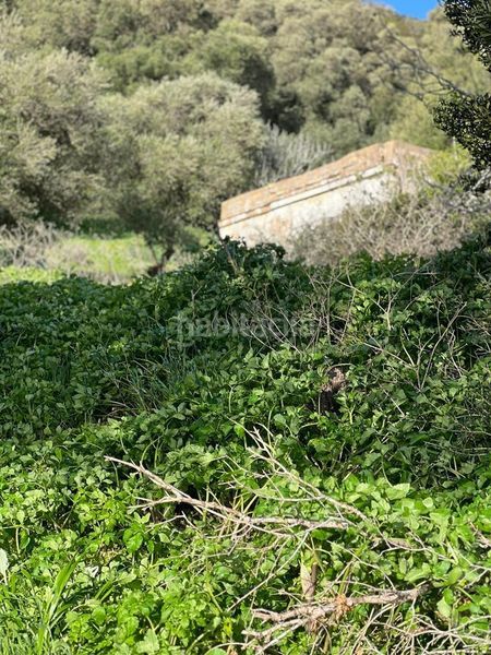 Foto 77c1e39f-df67-4d6e-9691-c9a0c9b544e4. Masia a Vejer Vejer de la Frontera