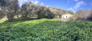 Masia a Vejer. Terreno rústico en zona valdecabras
