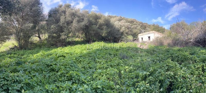 Foto 9f0ea47a-f820-452c-af97-171cde870522. Masia a Vejer Vejer de la Frontera