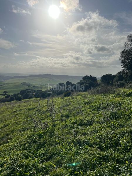 Foto fecfedba-e1ce-4339-a60b-2435571a3b05. Masia a Vejer Vejer de la Frontera