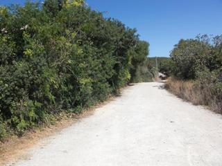 Finca rústica a Vejer. Estupenda parcela rústica en santa lucía