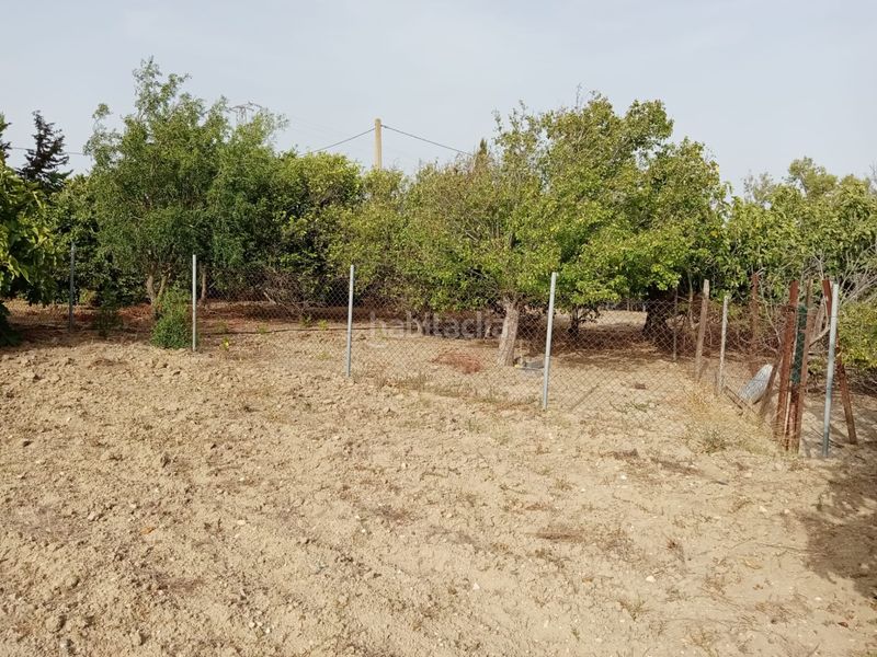 Foto 6753a297-74f0-4da3-885b-4868d01893fe. Finca rústica a Medina Sidonia