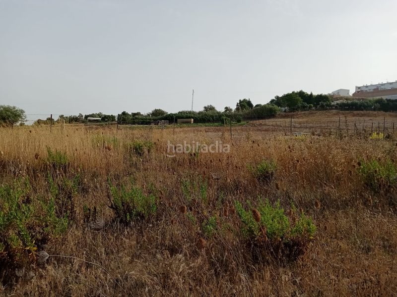 Foto b2117691-1741-424a-be89-1ef3e060728a. Finca rústica a Medina Sidonia