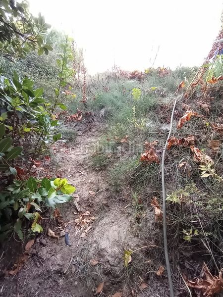 Foto b531cf69-8388-4abe-b2fb-9a038ef25285. Finca rústica a Medina Sidonia