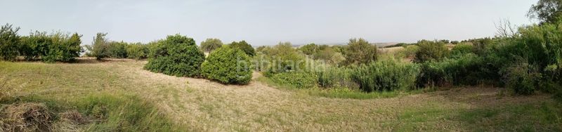 Foto e8a2ec37-acf6-4147-ba66-f4f682ab4c0d. Finca rústica a Medina Sidonia