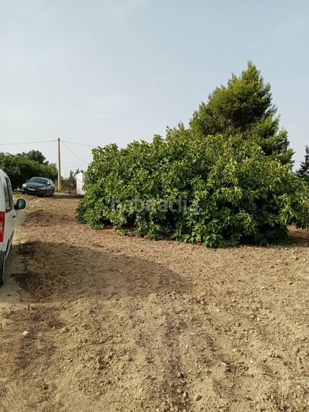 Foto edea7d92-2271-45b4-8bed-93263782cf6a. Finca rústica a Medina Sidonia