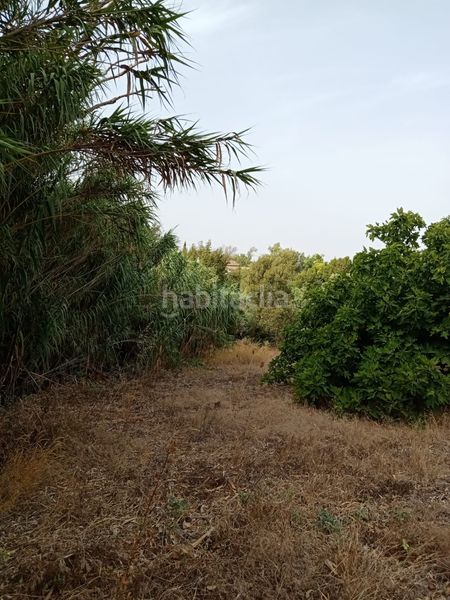 Foto fb8c78a5-c5fe-4954-ba23-8231fb171f7a. Finca rústica a Medina Sidonia