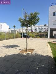 Terreny residencial a Vejer. Parcela urbana en vejer de  la frontera