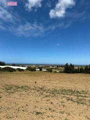 Finca rústica a Barrio Nuevo. Terreno en conil