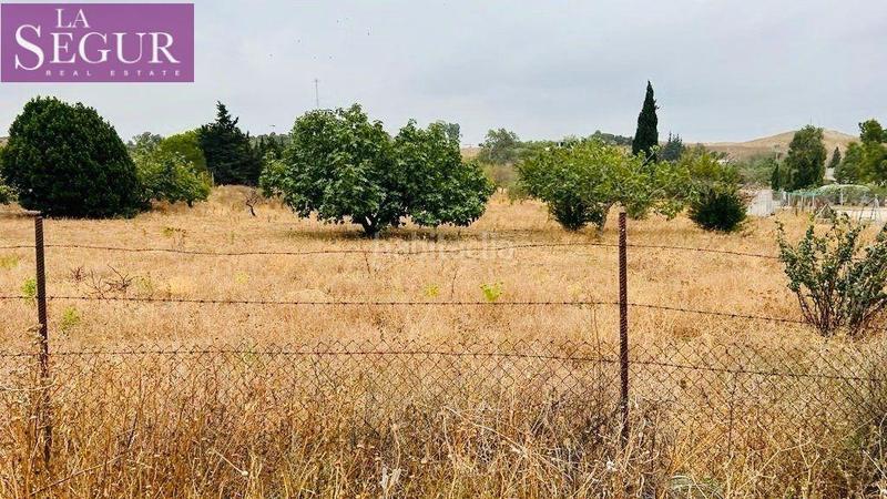 Foto 1d967d69-7ad5-4e49-a1e4-c05277308dd5. Casale in Medina Sidonia