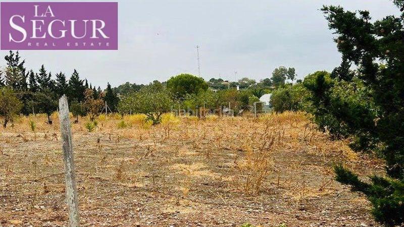 Foto 9dd7b482-aec5-4272-a0a1-93f1573c2140. Casale in Medina Sidonia