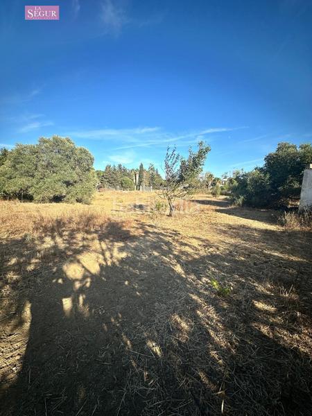 Foto 1019eef7-bcc2-4041-8ae3-43cc7e53172a. Propriété dans Pelagatos - Pago del Humo Chiclana de la Frontera