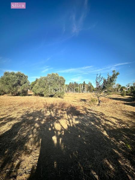 Foto be027398-8b00-4877-a632-cc3ea312f970. Propriété dans Pelagatos - Pago del Humo Chiclana de la Frontera