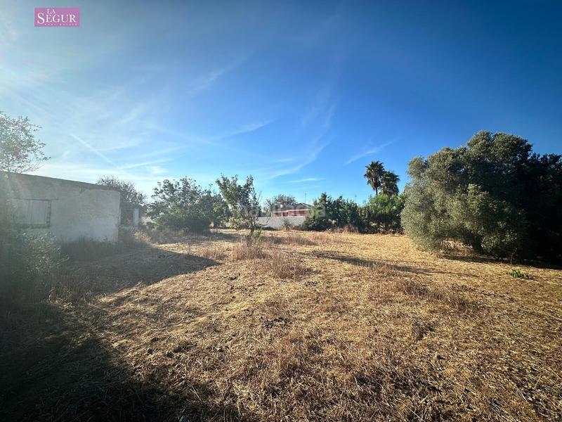 Foto c236519e-ac6f-43da-a9e0-c159818c6b5b. Propriété dans Pelagatos - Pago del Humo Chiclana de la Frontera