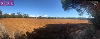 Terreny residencial a La Muela. Magnifica parcela en la muela