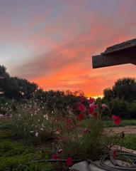 Masia a Vejer. Magnifica finca