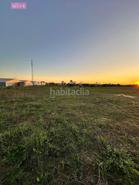 Foto 18accda9-717b-4553-8982-0a2bba2f2667. Fondo rustico in Conil Conil de la Frontera