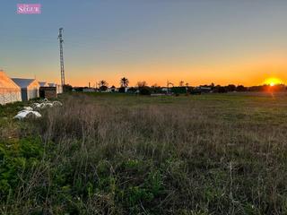 Finca rústica a Conil. Parcela segregada en conil