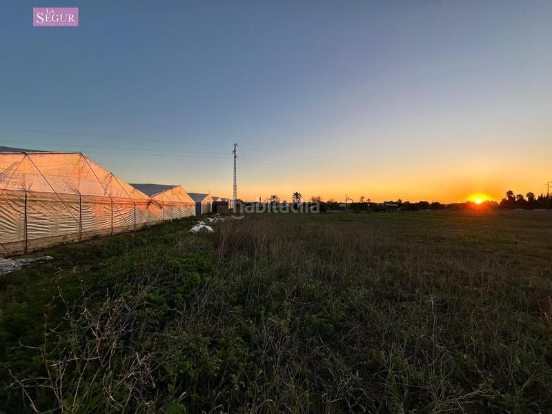 Foto 7add69e8-43a2-43a3-a3f2-bf53d5abb49f. Fondo rustico in Conil Conil de la Frontera