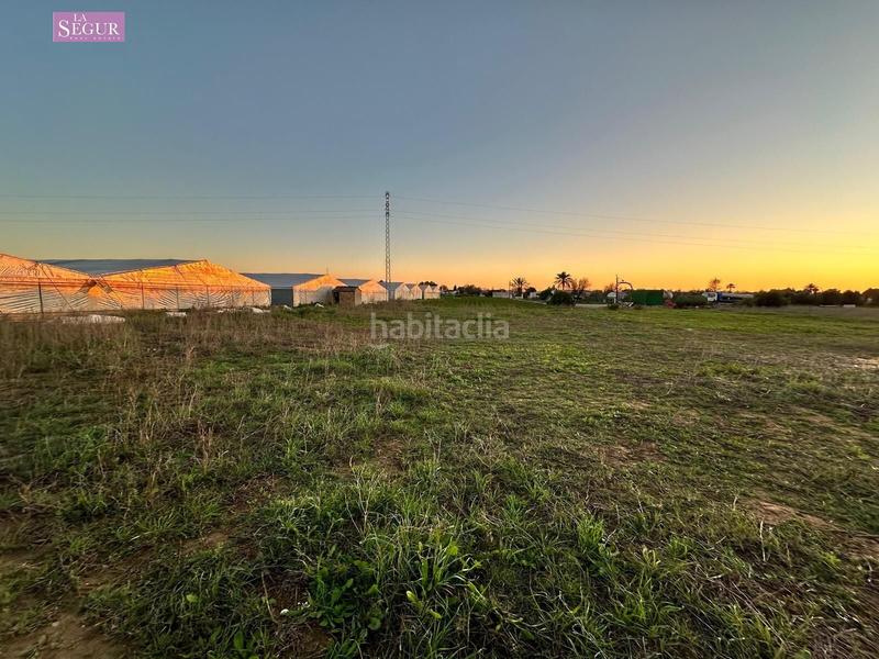 Foto be23c9d4-1dfd-4faf-8f6d-5457f0811d30. Fondo rustico in Conil Conil de la Frontera