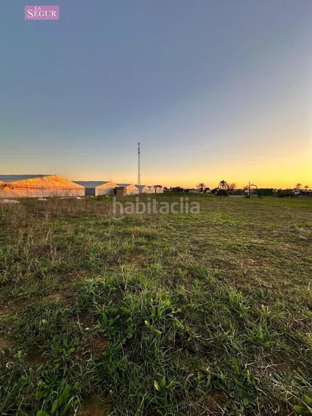 Foto f9d00478-9cd6-4ec7-b93d-2bd93108e22f. Fondo rustico in Conil Conil de la Frontera