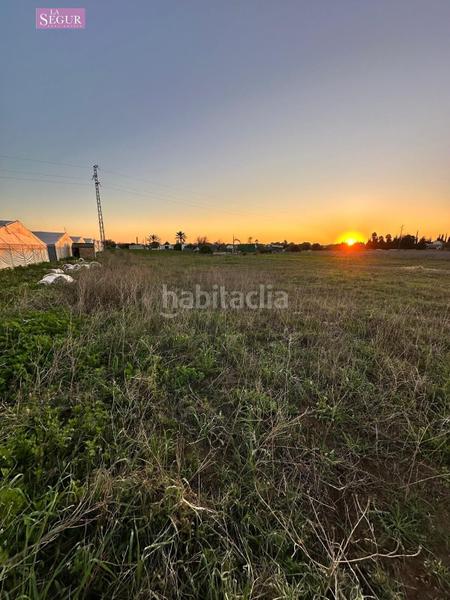 Foto fa874da8-c890-4548-bee4-de4eef29c62a. Fondo rustico in Conil Conil de la Frontera