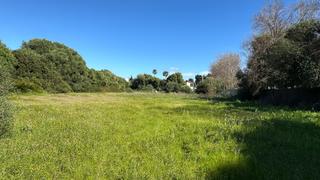 Finca rústica a El Palmar. Terreno rural en zahora