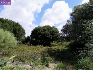 Finca rústica a Barbate. Parcela en venta en zahora