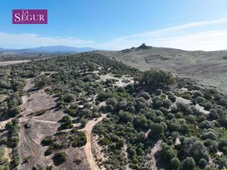 Propriété à Medina - Sidonia. Terreno agricola en zona de alburejos  medina sidonia