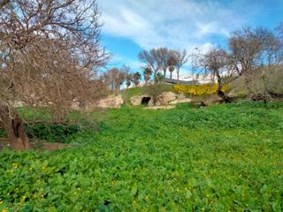Terrain résidentiel à Medina - Sidonia. Parcela en zona de la pedrera