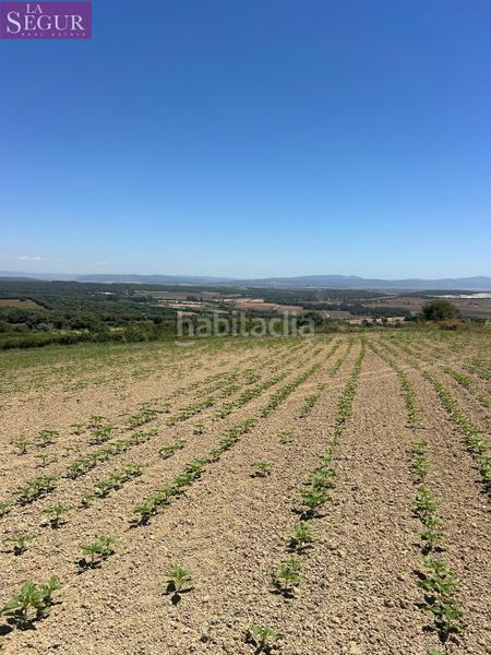 Foto 61bdab70-2c3b-4f08-ab36-3e9b1c4263b6. Finca rústica a Vejer Vejer de la Frontera