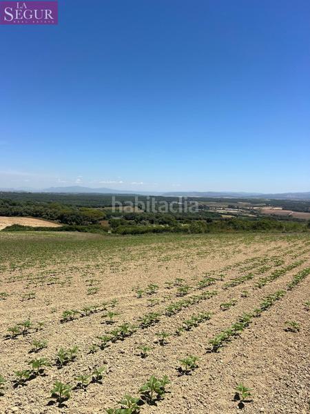 Foto 647e7af0-a3db-4968-a6e9-d56617d29c0f. Finca rústica a Vejer Vejer de la Frontera