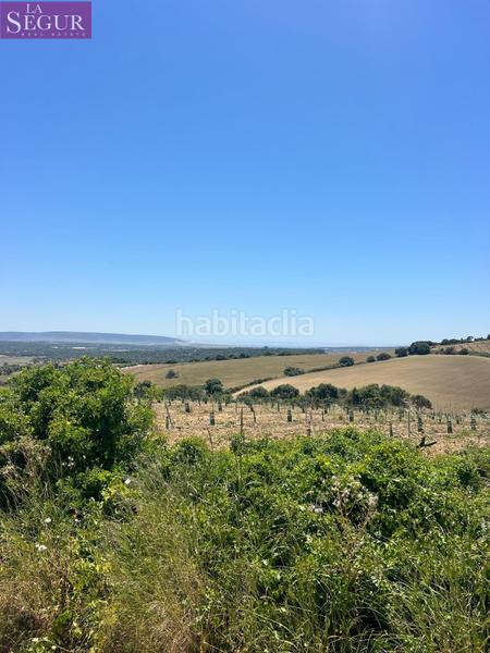 Foto a1afe2b1-4ee3-4bc5-8616-6eee213116b6. Finca rústica a Vejer Vejer de la Frontera