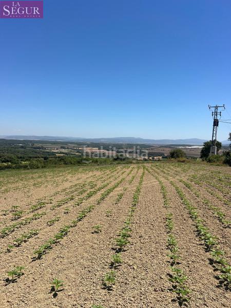 Foto b0c2056a-b025-4fd3-b4a4-0c5625a9f4c9. Finca rústica a Vejer Vejer de la Frontera