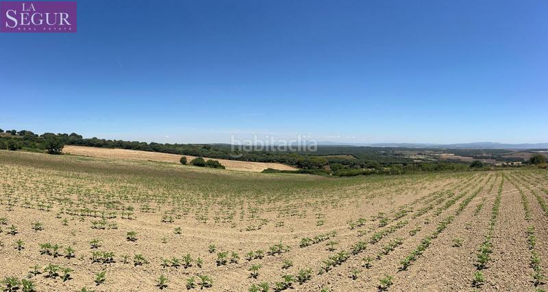 Foto c7fd5b6d-8048-420f-a271-f9c31a6504c6. Finca rústica a Vejer Vejer de la Frontera