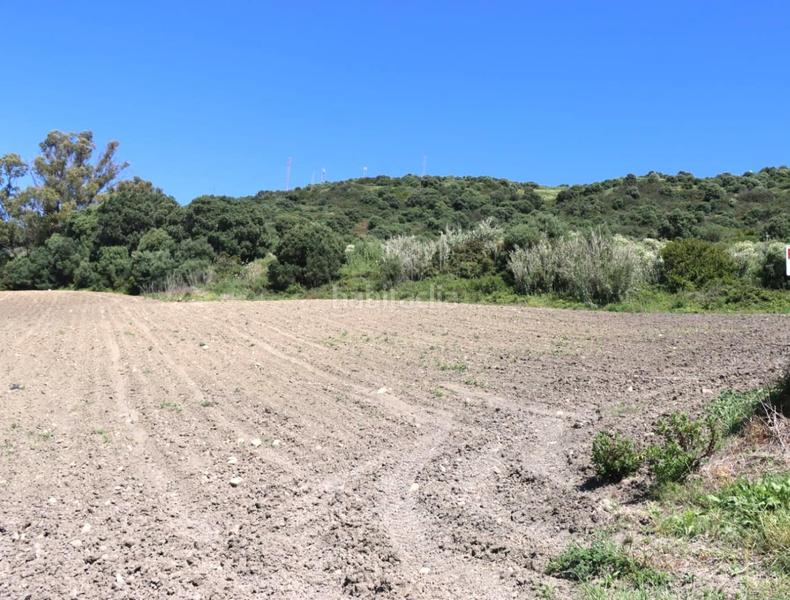 Foto 02c8d7a6-3151-4638-98c9-13db3340611f. Finca rústica a Vejer Vejer de la Frontera