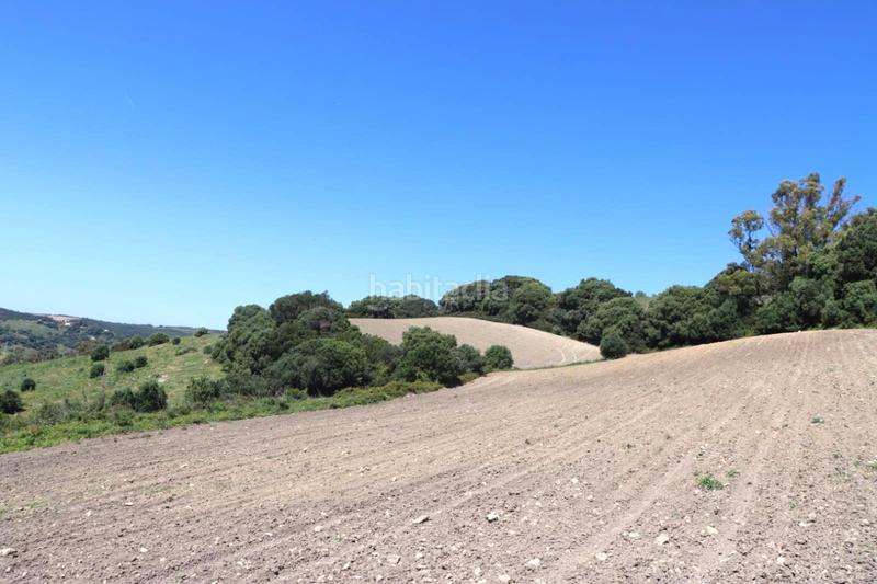 Foto 3c98fa7f-a5c5-4e52-bbda-a8dcbaa2e8ee. Finca rústica a Vejer Vejer de la Frontera