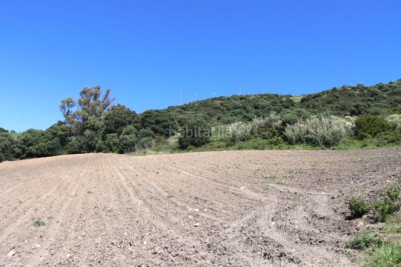 Foto 4b62a4e8-433e-4fc6-8cbc-5eb8d181623c. Finca rústica a Vejer Vejer de la Frontera