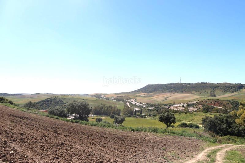 Foto 50f45225-9749-4469-98df-3658c5d3321c. Finca rústica a Vejer Vejer de la Frontera