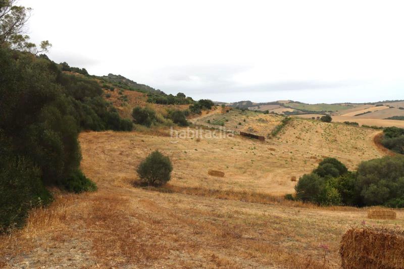 Foto d75018ab-dfe2-4bf0-8954-c177a32ad0b3. Finca rústica a Vejer Vejer de la Frontera