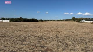 Terrain résidentiel à El Palmar. Parcela segregada de 16000m2 en el palmar