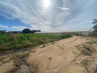 Landgut in Barbate. Terreno segregado en barbate