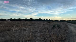 Finca rústica en Vejer