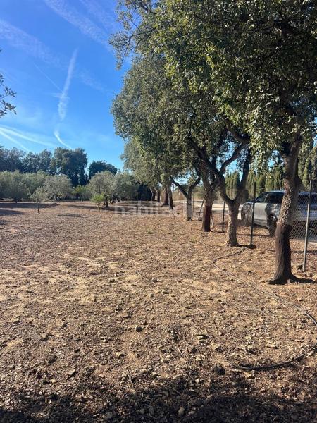 Foto 2755757a-019b-4207-9717-62537465ceb5. Bauernhof mit parking in Medina Sidonia