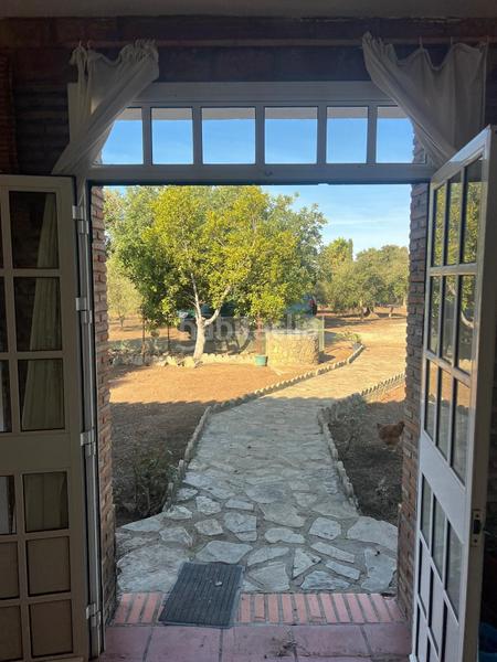 Foto d08b8f26-ed40-4abb-8184-427b8408ccc3. Bauernhof mit parking in Medina Sidonia