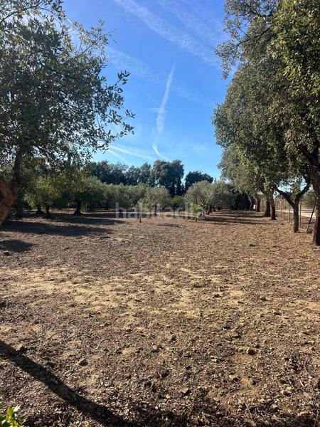 Foto f3ca5b3d-7bc8-430b-9a7f-1708e4bdc28c. Bauernhof mit parking in Medina Sidonia