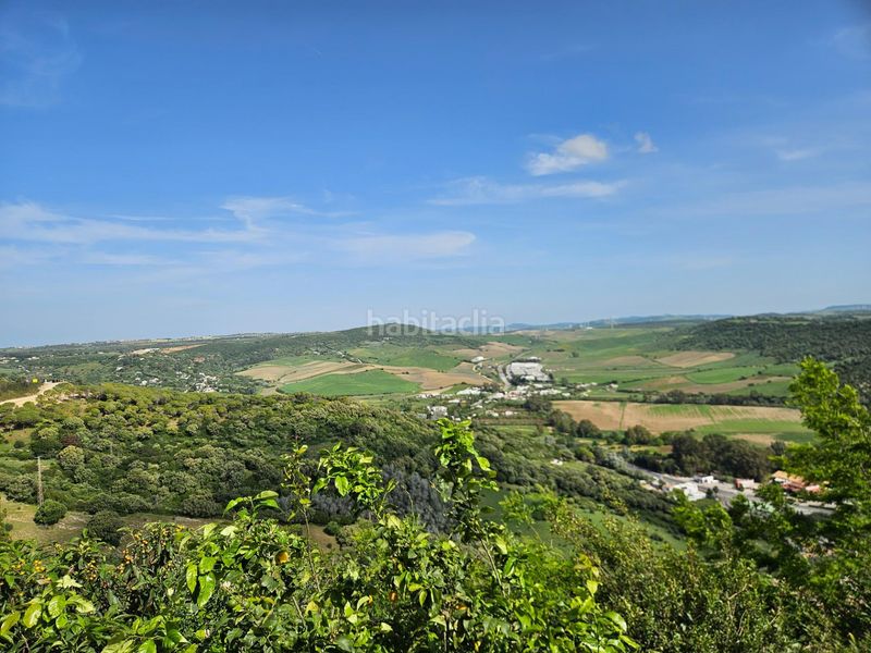 Foto a5aed818-a10b-46f1-aafb-2ef7c5507fb6. Estudi a Vejer Vejer de la Frontera