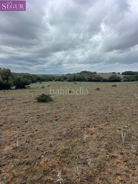 Foto 0cd44c28-d7bf-4089-895c-968ee4ba2052. Finca rústica a Vejer Vejer de la Frontera